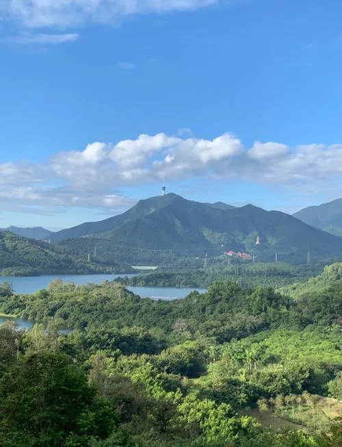 深圳周边免费旅游景点-深圳近郊免费游