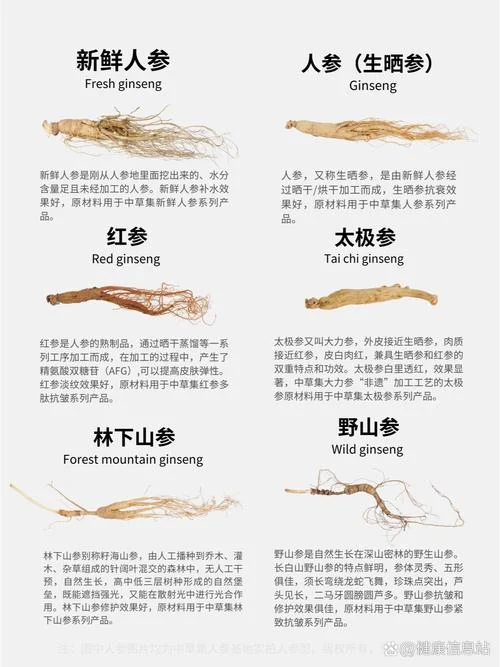 矷山人参又叫什么名字_2