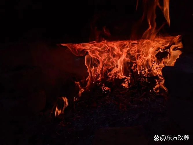 梦见大火烧人-梦火焚身