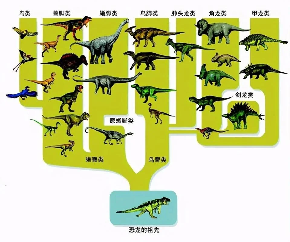 恐龙的历史大全_2