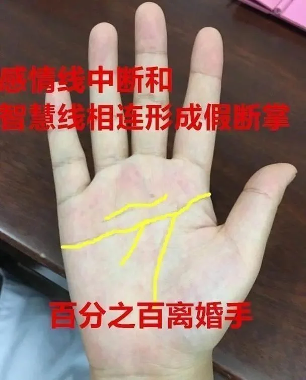 断掌纹女人手相图解-断掌纹手相图解