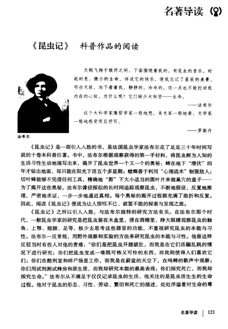 海鸥的作者是谁-海鸥作者是谁