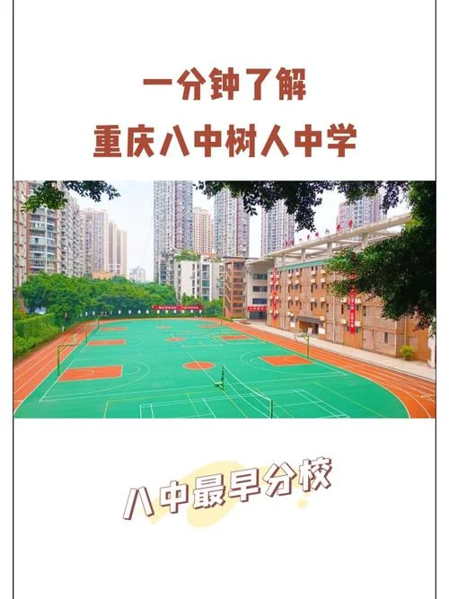 重庆树人中学中考成绩_1