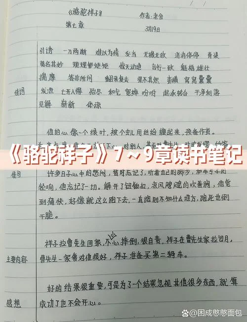 骆驼祥子摘抄+感悟+好词_1