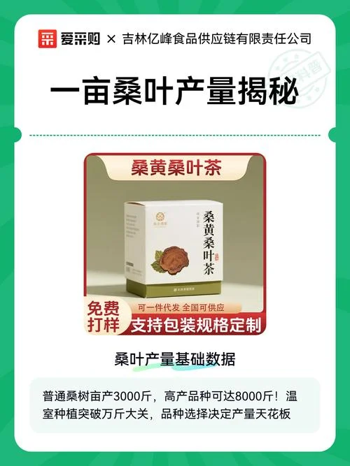 一亩地能产多少茶叶_1