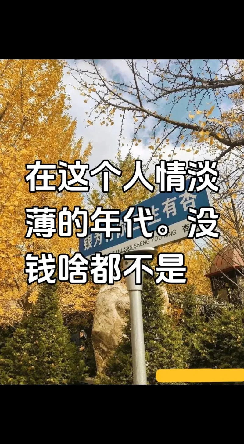 没钱的人生感悟-没钱的人生感悟