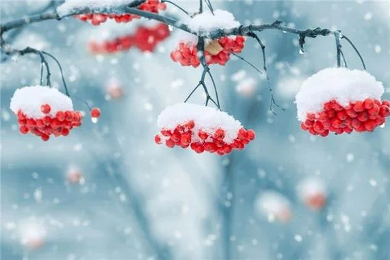 女人梦见下雪周公解梦-女人梦见雪周公解梦