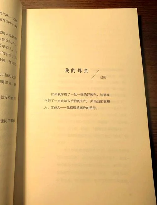 感悟母爱的书-感悟母爱之书
