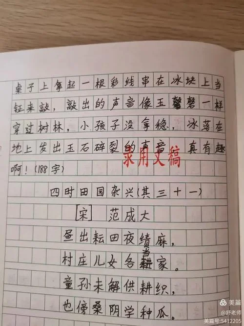 稚子冰扩写500字优秀作文_2