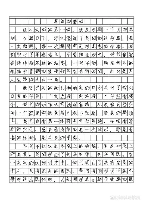 初一军训感悟500字_1