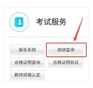 中小学教资考试官网成绩查询_1