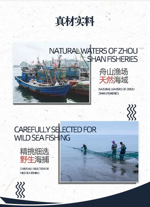 手机捕鱼产地在哪里查_1