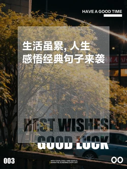 最经典的人生感悟_1