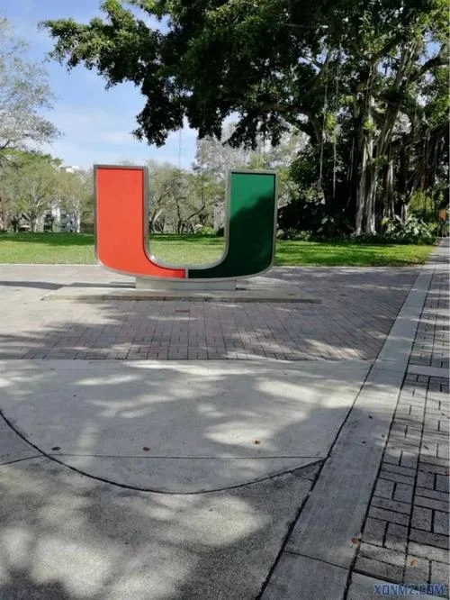 美国迈阿密大学医院_1