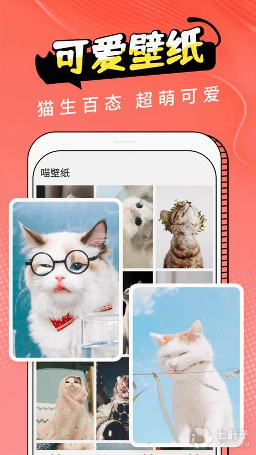 猫的软件叫什么_2