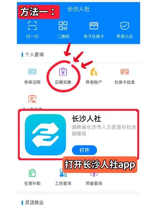 查五险在哪个app查_1