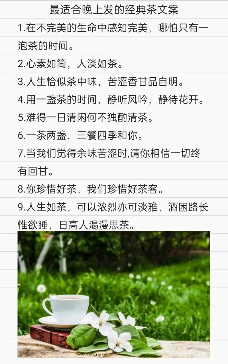 茶味人生的感悟_2