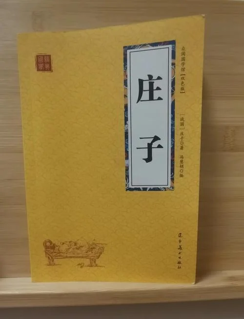 庄子读后感6个心得_1