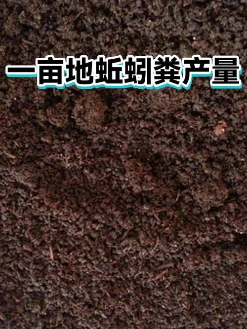 种蚯蚓一亩多少利润_1