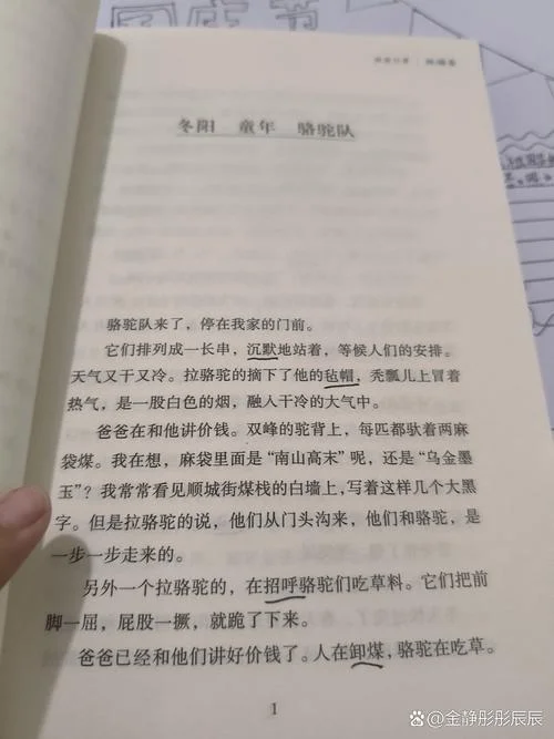 城南旧事骆驼队感悟_2
