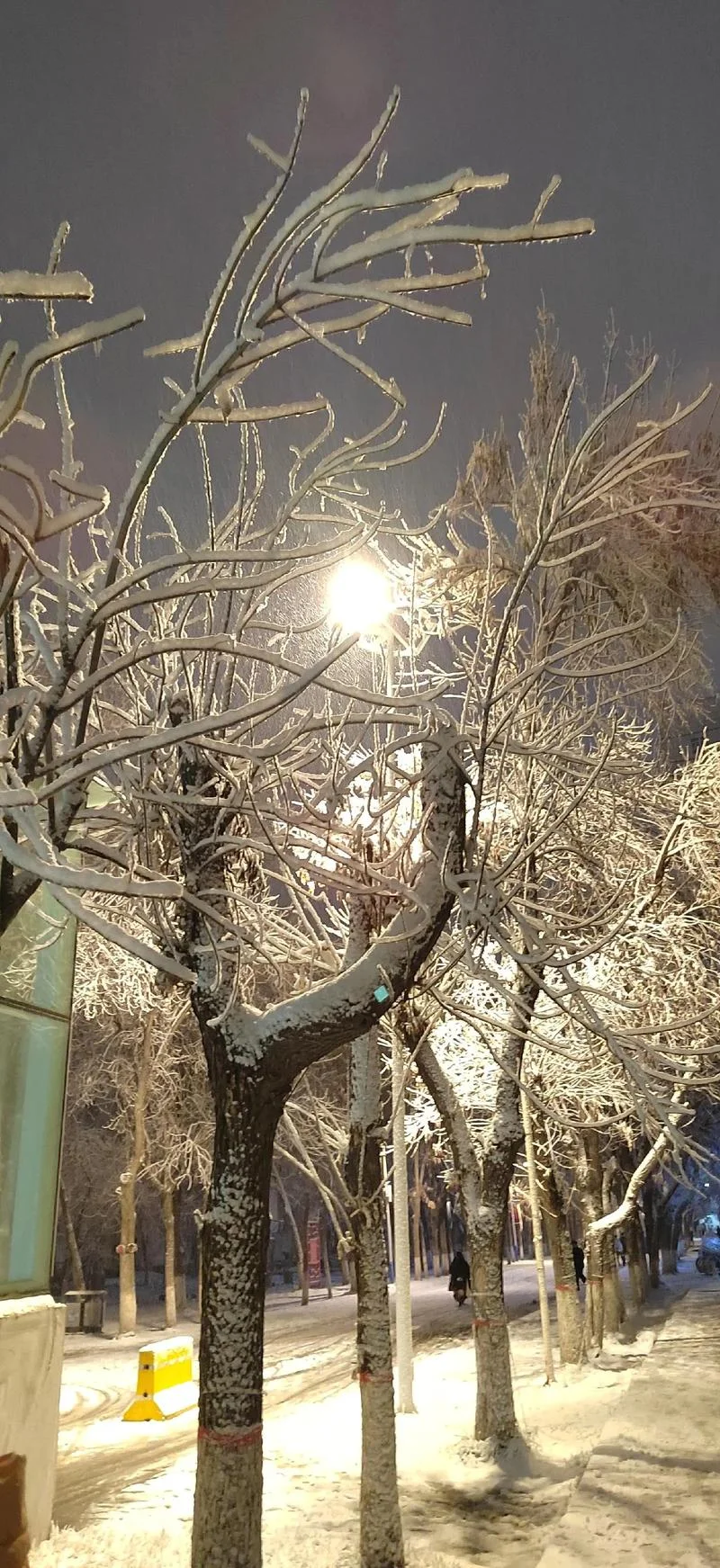 石河子景点冬季-石河子景点冬日