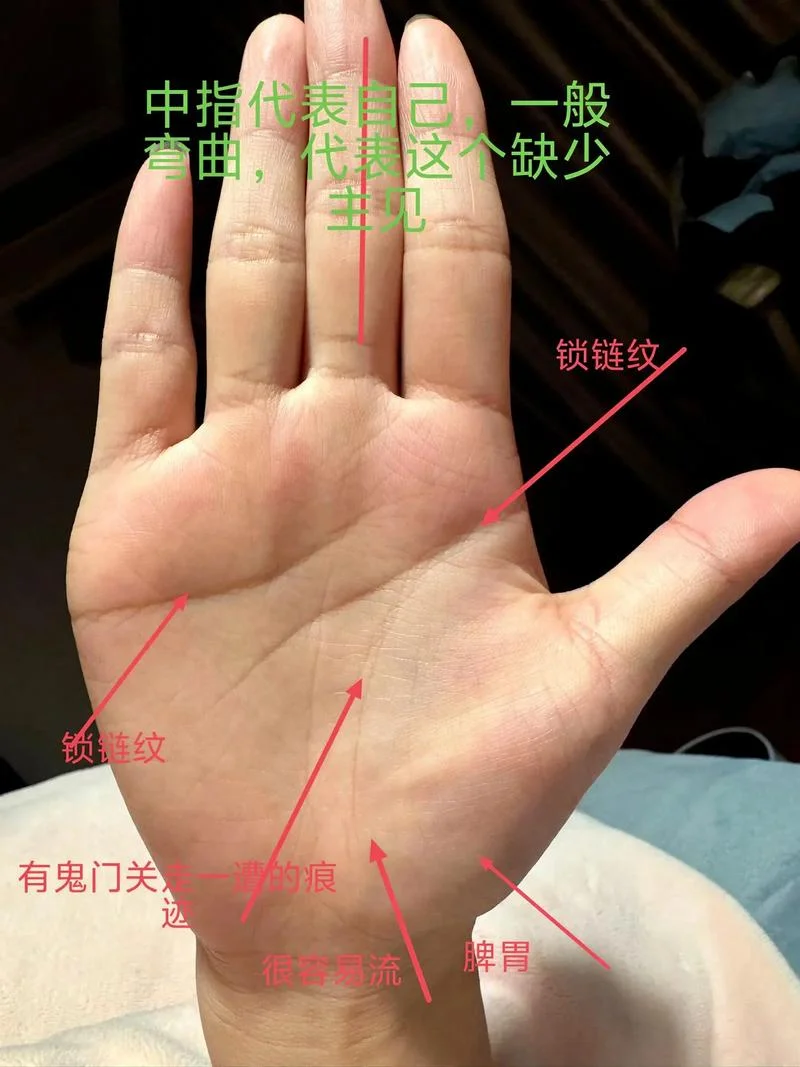 微博上看手相的准吗_2