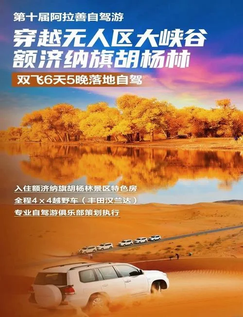额济纳旗到胡杨林多少公里-额济纳到胡杨林约 1000 公里