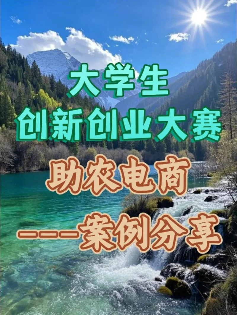 创新创业大赛优秀作品-创新创业大赛佳作