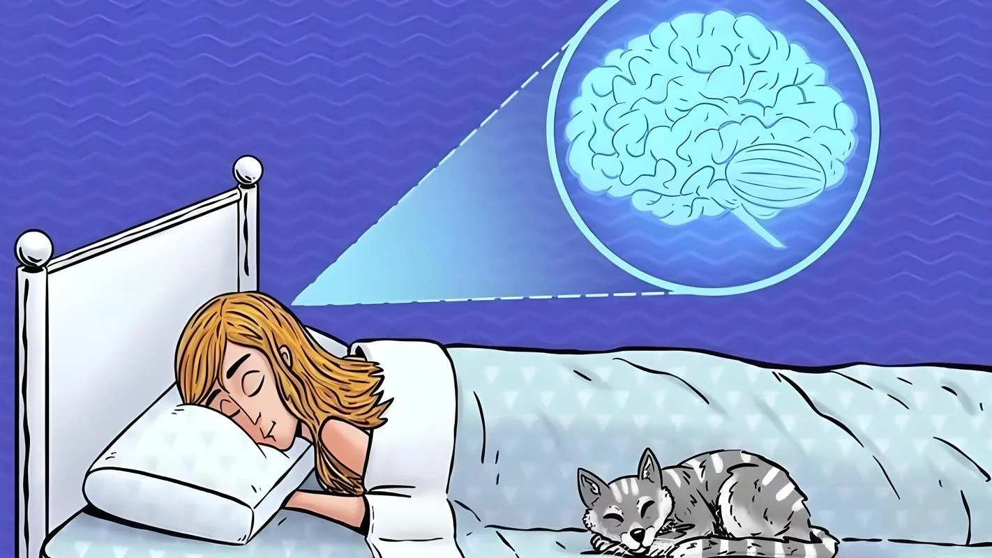 晚上睡眠一直都在做梦-每晚睡眠皆做梦