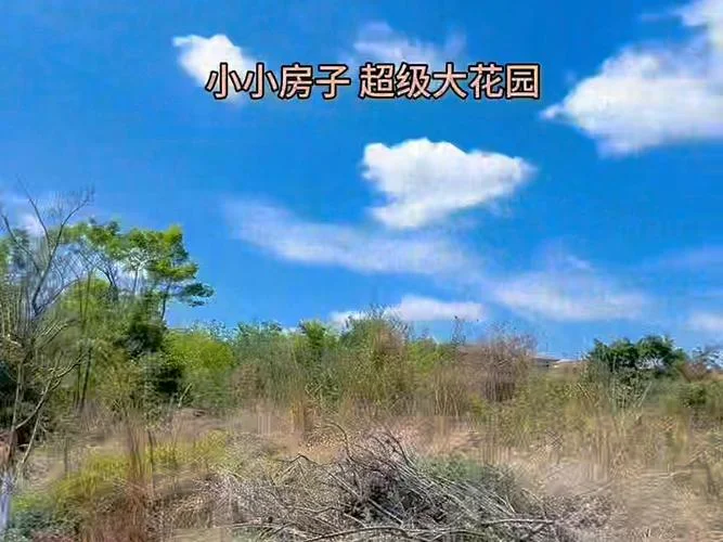300平米是多少亩地_2