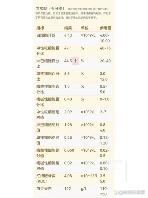 淋巴细胞计数偏高是什么意思_1