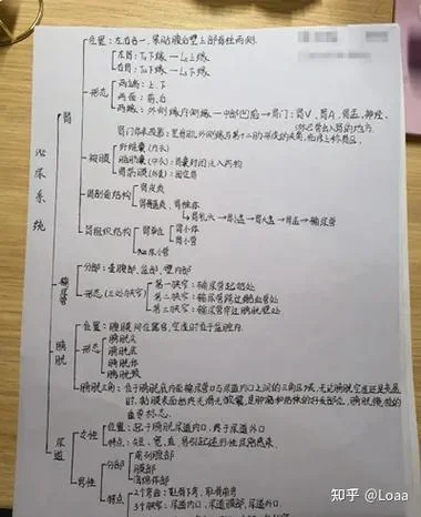 国家公卫执业医师报名费_1