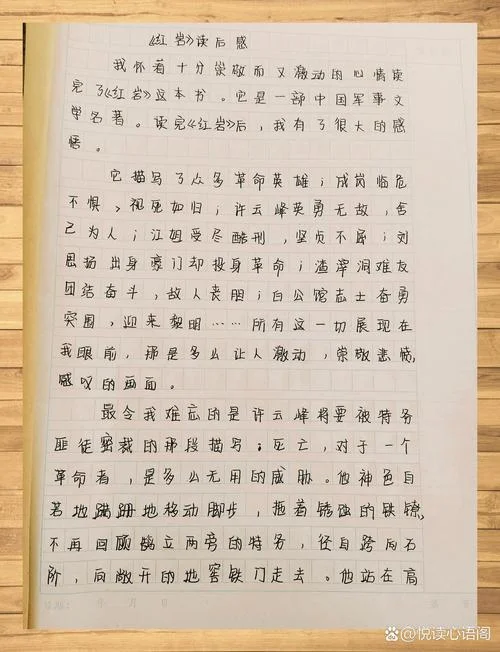 红日读后感和读书摘录-红日读后感摘录