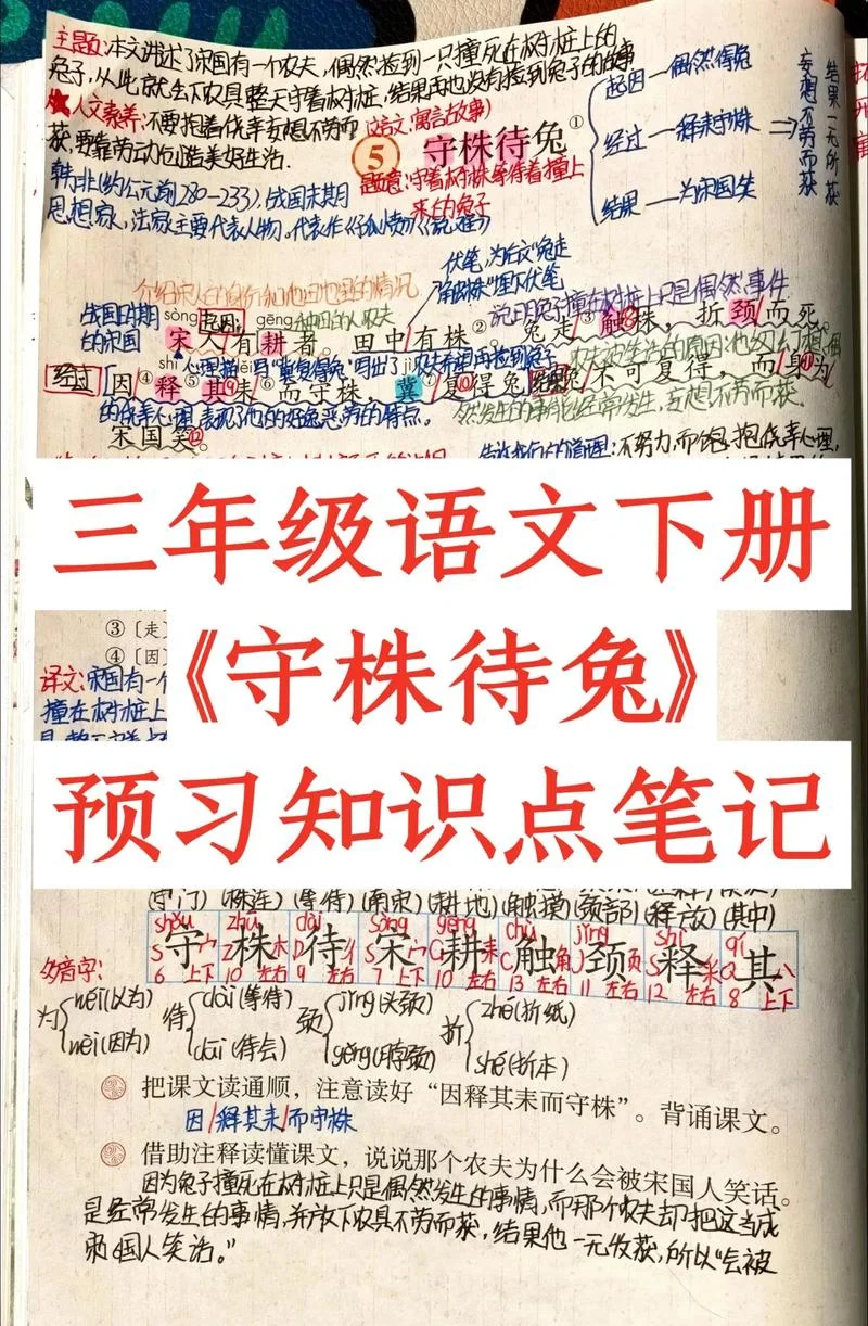 守株待兔文言文出自哪里_1
