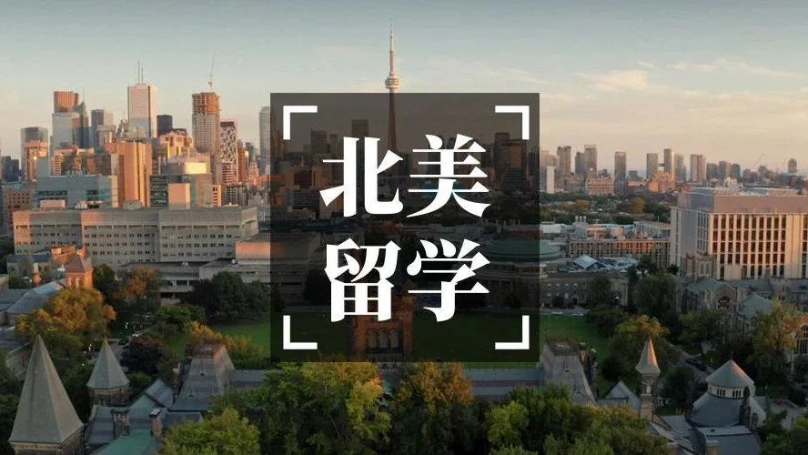 芥末留学服务加盟_1