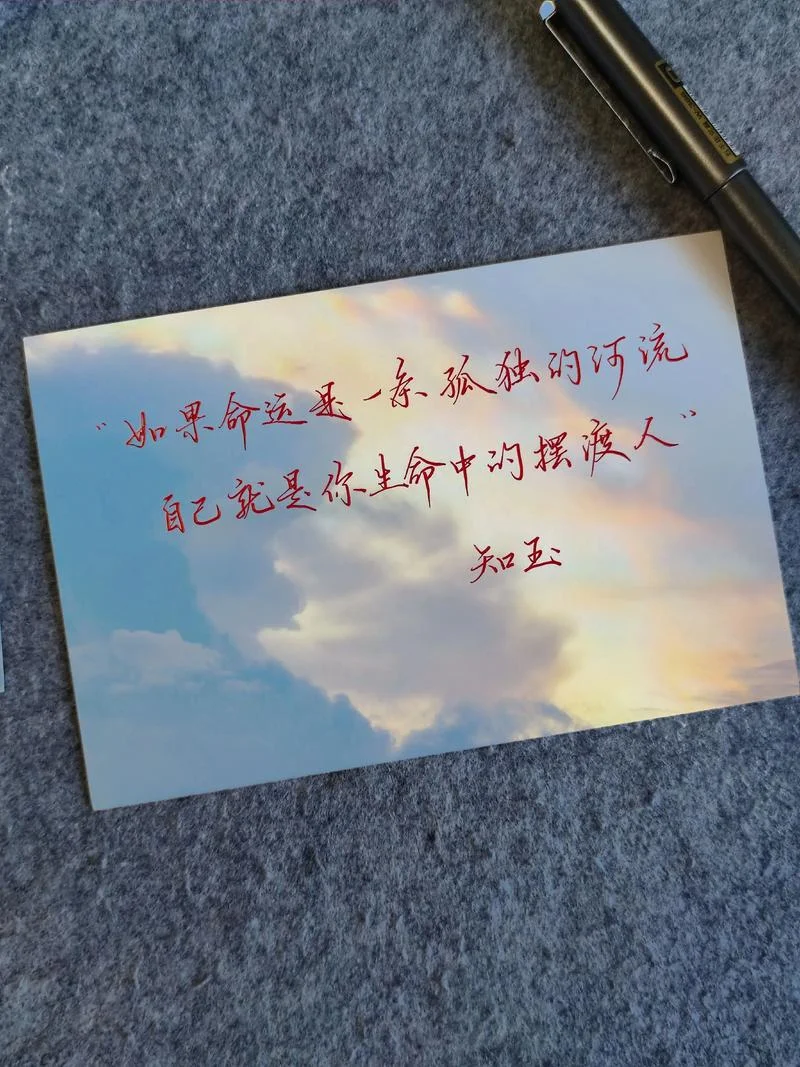灵魂摆渡是谁写的_2