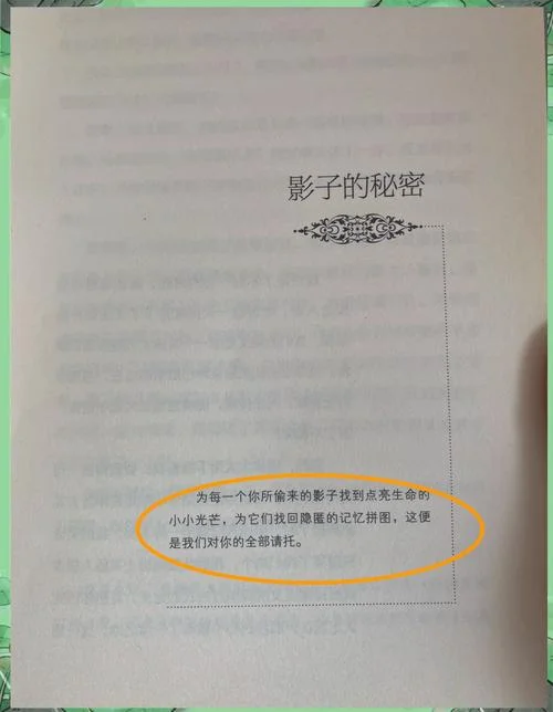 偷影子的人简介三十字-偷影人简介