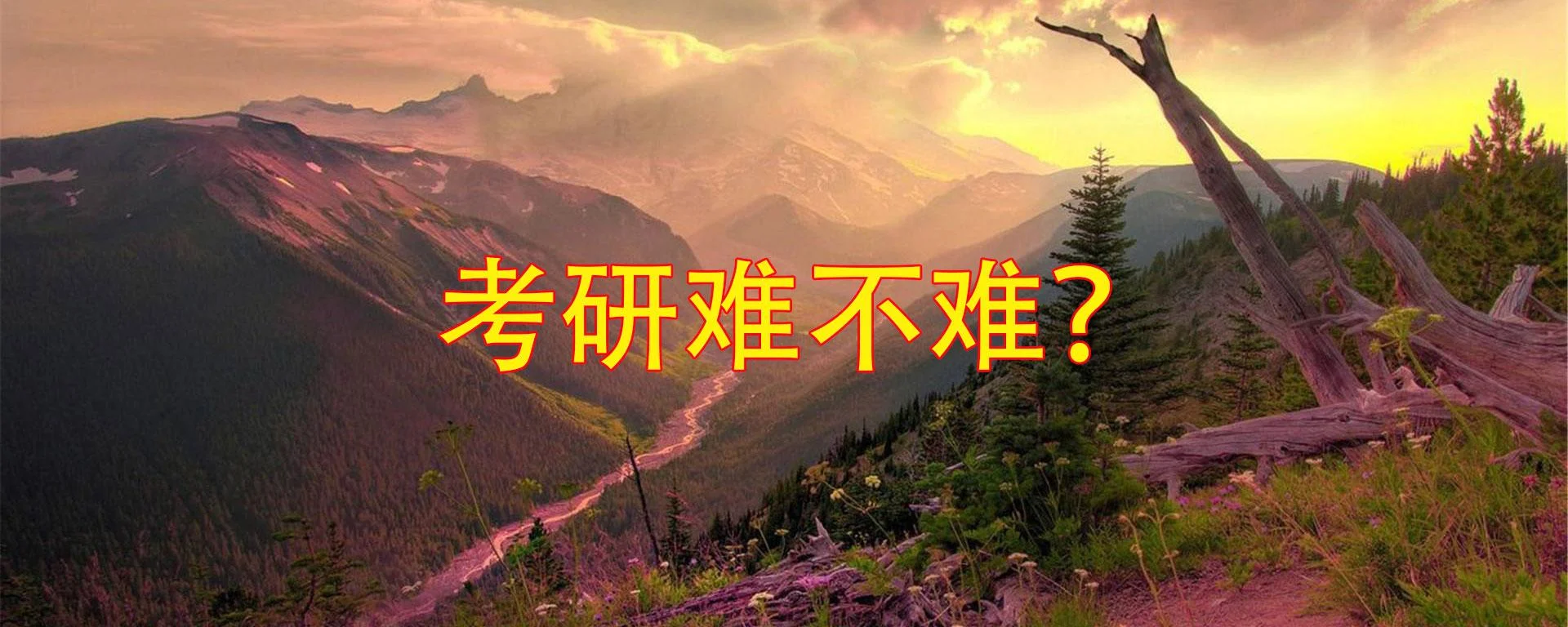 考研到底难不难啊_1