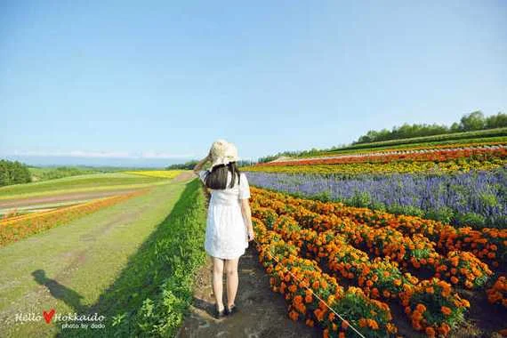 东京到北海道多少公里_2