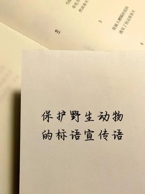 野生动物保护感悟_2