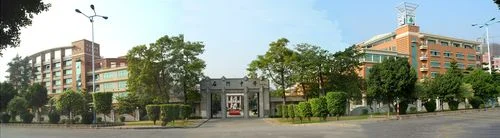 石门中学直播_1