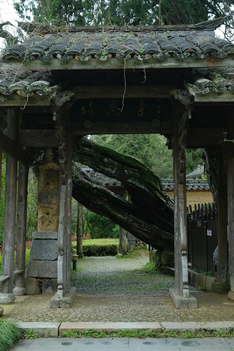 草色入帘青的上一句_1