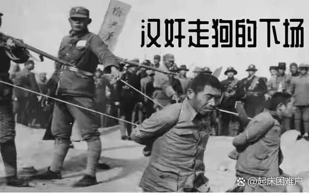 我看过的历史视频-历史视频观后感