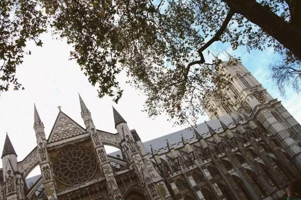 英国留学圈很乱中东_2