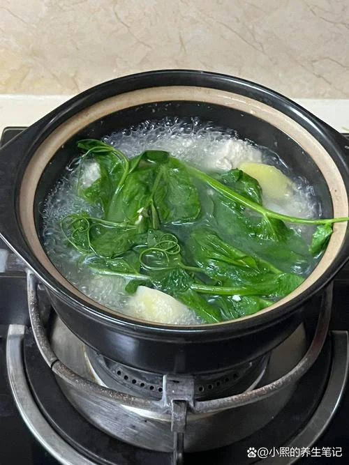 豌豆苗怎么做汤-豌豆苗做汤