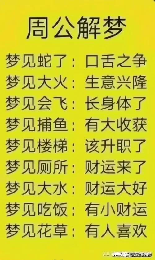 梦见看别人算命_2