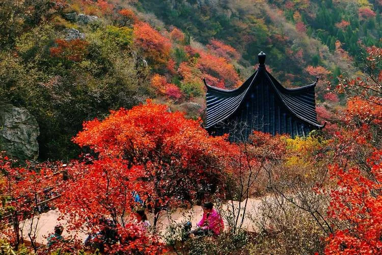 禹州网红景点-禹州网红景点