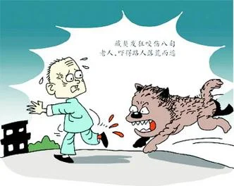 做梦梦见狗咬住不放_2
