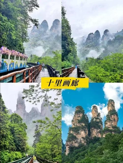 去张家界五日游报价_2