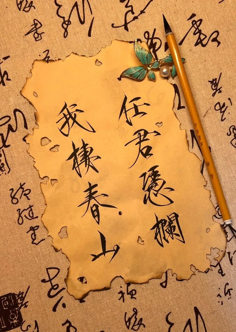 我栖春山出自哪里_1